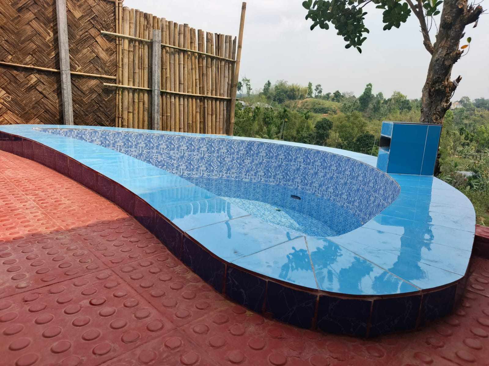 Niharika