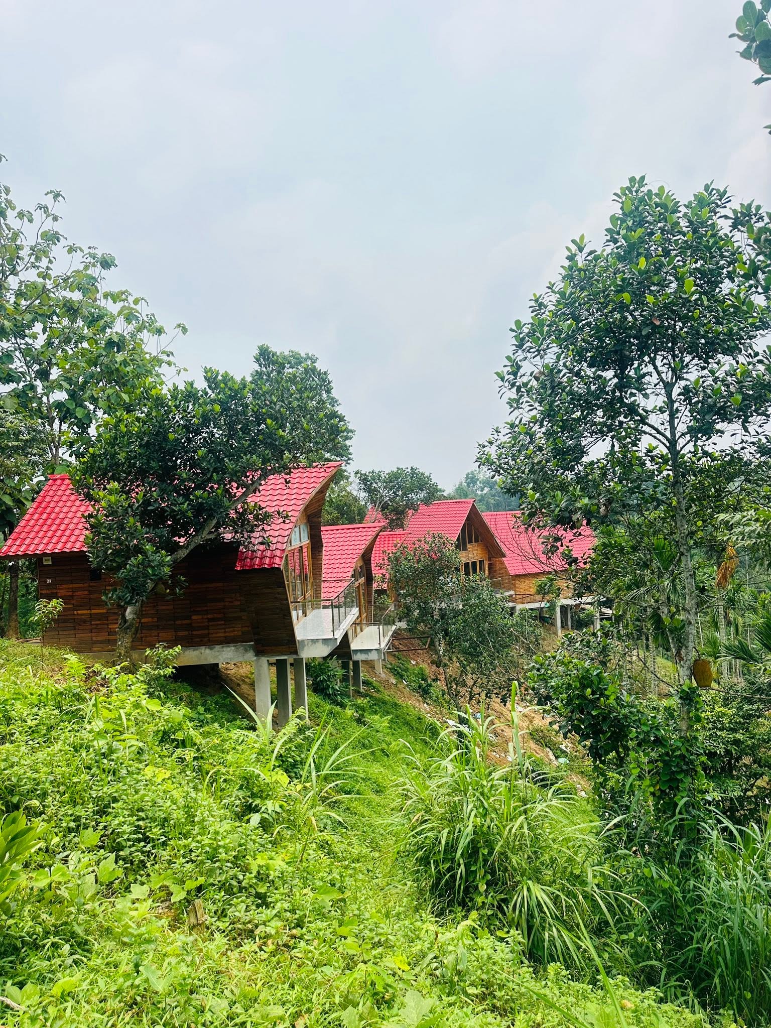 Lushara Tea Resort